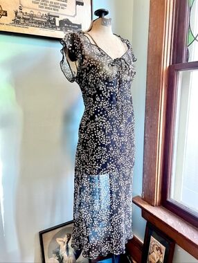 Sheer Chiffon Vintage Dress